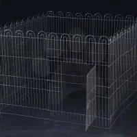 پارک‌ بازی سگ وگربه