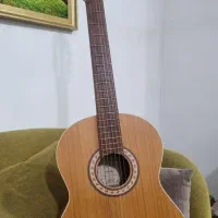 گیتار پارسی با لوازم