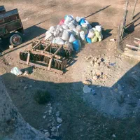 کود  حیوانی