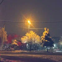 مقداری پول نقد و سکه پیدا شده