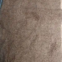 موکت
