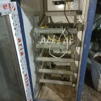 دستگاه جوجه کشی اسگندری