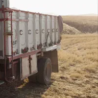 فروش اتاق خاور ۸۰۸