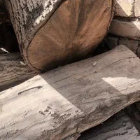 فروش چوب گردو|عمده‌فروشی|زیباشهر, |دیوار