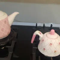 کتری و قوری ست گلدار چینی|قوری، کتری، قهوهساز دستی|تهران, سازمان برنامه جنوبی|دیوار