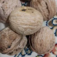 گردوپرمغز|خوردنی و آشامیدنی|بیرانوند, |دیوار