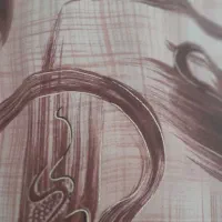 پارچه لباسی  مانتو یشمی  روسری ابی