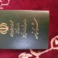 شناسنامه گم شده