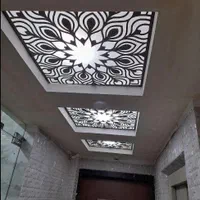 مجری تخصصی کناف و انواع سقف کاذب|خدمات پیشه و مهارت|رضوانشهر, |دیوار