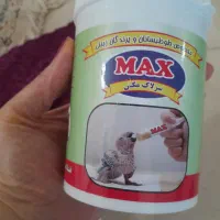 شاه طوطی بخر برزیلی و دوتا قفس هدیه بگیر|پرنده|هشتگرد, فاز ۱ مهستان|دیوار