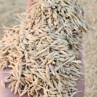 خریدار خارشتری کاه جو گندم پرس یونجه|خدمات باغبانی و درختکاری|مشهد, ده دی|دیوار