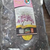 خاک و کود|گل و گیاه طبیعی|رشت, فلسطین|دیوار