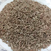 فروش زیره سیاه درجه یک