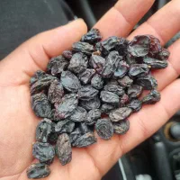 مویز بدون هسته