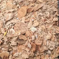 نان خشک تمیز وبربری