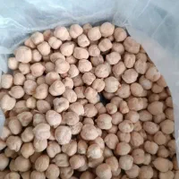 نخود پاییزه عادل 3تن