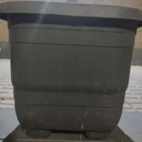 گلدان پلاستیکی|گل و گیاه طبیعی|تهران, تهرانپارس شرقی|دیوار