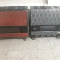 تنوع بخاری درجه۱