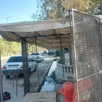 تالا توری