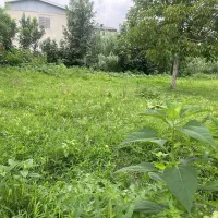 572 متر زمین مسکونی|فروش زمین و ملک کلنگی|شلمان, |دیوار