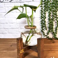 گلدان های دکوراتیو شیشه ای بر پایه چوب جدید
