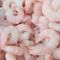آبزیان خلیج فارس|ماهی|شیراز, تاچارا|دیوار