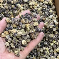 توت خشک|خوردنی و آشامیدنی|گرگان, |دیوار