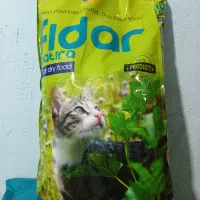 غذا خشک گربه