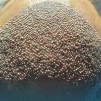 پکیجVIPکاشت مو شیرازبابالاترین تراکم۲۲میلیون