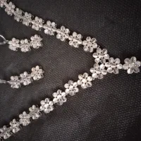 سرویس رنگ ثابت نقره ای زیبا