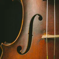 آموزش ویولن و تئوری موسیقی|خدمات آموزشی|تهران, هفت حوض|دیوار