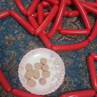 سوسیس بوقلمون خانگی