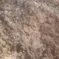 کود مرغی قفسی