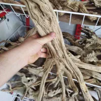 دریفت وود آکواریوم