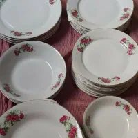 سرویس گل سرخی بشقاب دیس پیاله پیش دستی|ظروف سرو و پذیرایی|تهران, زرکش|دیوار