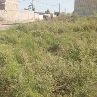 زمین مسکونی|فروش زمین و ملک کلنگی|پارسآباد, |دیوار