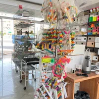 پرنده سرای سیستان|پرنده|گلبهار, شهر جدید گلبهار|دیوار