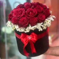گل رز شاخه ای ۱۲۰