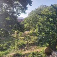 باغ بدون حصار|فروش دفتر صنعتی، کشاورزی، تجاری|ماهان, |دیوار