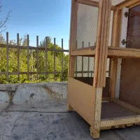 قفس فروشی|لوازم جانبی حیوانات|محلات, |دیوار