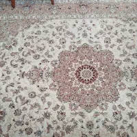 یک جفت فرش|فرش|نوشهر, |دیوار