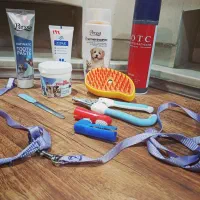 وسایل نگهداری حیوان خانگی|لوازم جانبی حیوانات|مشهد, فرهنگ|دیوار