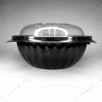 ظرف بیرون بر سزار