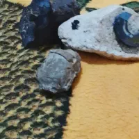 سنگ|کلکسیون اشیاء عتیقه|جیرفت, |دیوار