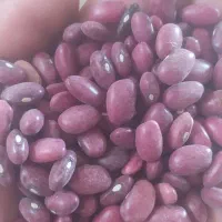 لوبیا قرمز درجه یک امسالی