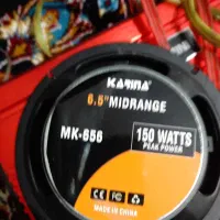 سیستم صورت پانیر