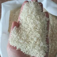 برنج طارم عطری درجه یک‌شمال