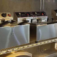 سرخ کن صنعتی رومیزی برقی