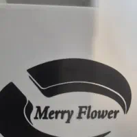 آب هویج گیری|آبمیوه‌گیر و آب‌مرکبات‌گیر|رشت, توشیبا|دیوار