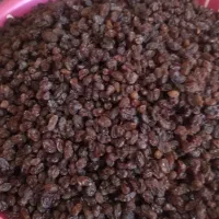 کشمش پلویی تمیز وپاک شده ارگانیک ملکان